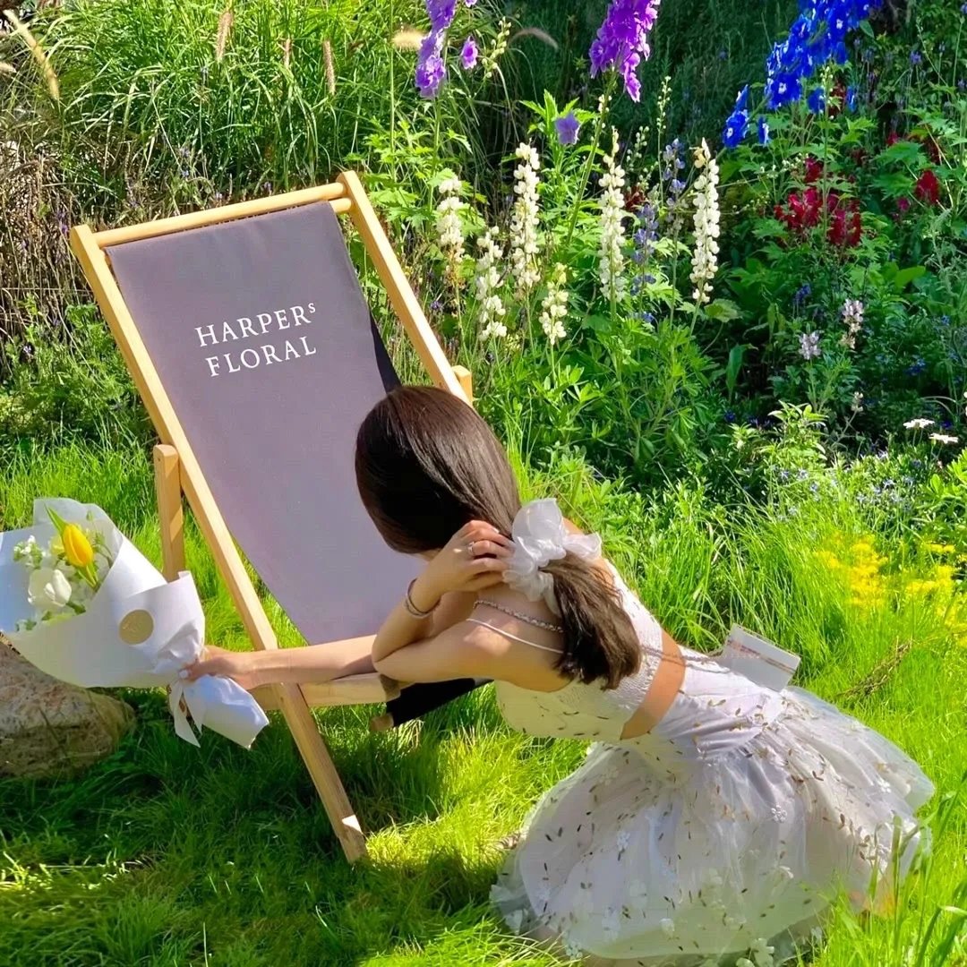 不死女轮堂鸦夜